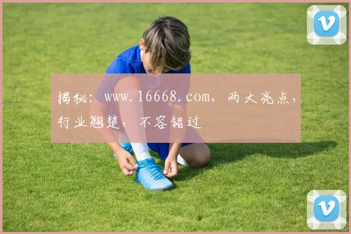揭秘：www.16668.com，两大亮点，行业翘楚，不容错过